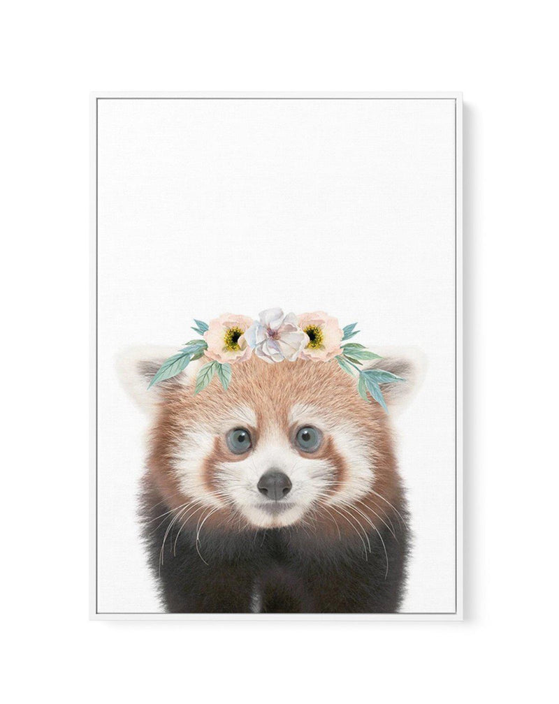 Little Red Panda | Flower Crown | Framed Canvas-CANVAS-You can shop wall art online with Olive et Oriel for everything from abstract art to fun kids wall art. Our beautiful modern art prints and canvas art are available from large canvas prints to wall art paintings and our proudly Australian artwork collection offers only the highest quality framed large wall art and canvas art Australia - You can buy fashion photography prints or Hampton print posters and paintings on canvas from Olive et Orie
