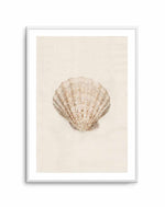 Little Seashell I Art Print-PRINT-Olive et Oriel-Olive et Oriel-A5 | 5.8" x 8.3" | 14.8 x 21cm-Unframed Art Print-With White Border-Buy-Australian-Art-Prints-Online-with-Olive-et-Oriel-Your-Artwork-Specialists-Austrailia-Decorate-With-Coastal-Photo-Wall-Art-Prints-From-Our-Beach-House-Artwork-Collection-Fine-Poster-and-Framed-Artwork