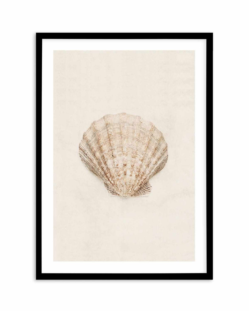 Little Seashell I Art Print-PRINT-Olive et Oriel-Olive et Oriel-A5 | 5.8" x 8.3" | 14.8 x 21cm-Black-With White Border-Buy-Australian-Art-Prints-Online-with-Olive-et-Oriel-Your-Artwork-Specialists-Austrailia-Decorate-With-Coastal-Photo-Wall-Art-Prints-From-Our-Beach-House-Artwork-Collection-Fine-Poster-and-Framed-Artwork