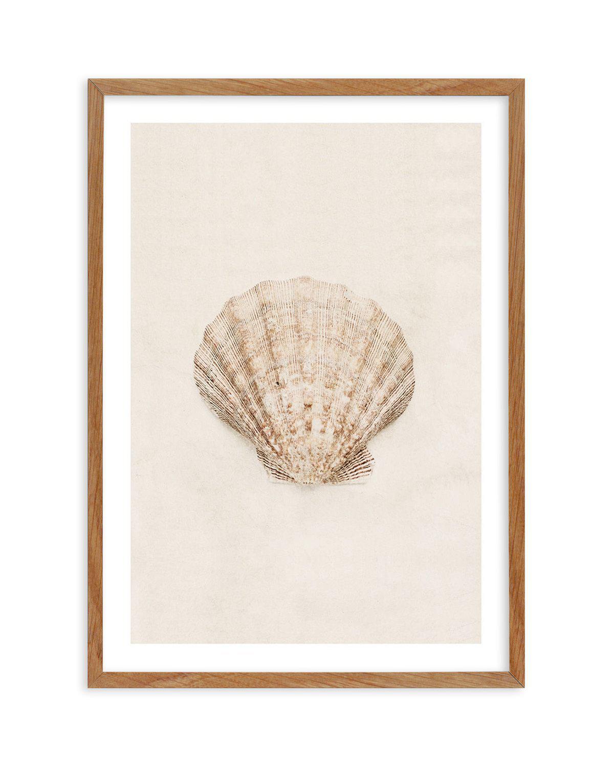 Little Seashell I Art Print-PRINT-Olive et Oriel-Olive et Oriel-Buy-Australian-Art-Prints-Online-with-Olive-et-Oriel-Your-Artwork-Specialists-Austrailia-Decorate-With-Coastal-Photo-Wall-Art-Prints-From-Our-Beach-House-Artwork-Collection-Fine-Poster-and-Framed-Artwork