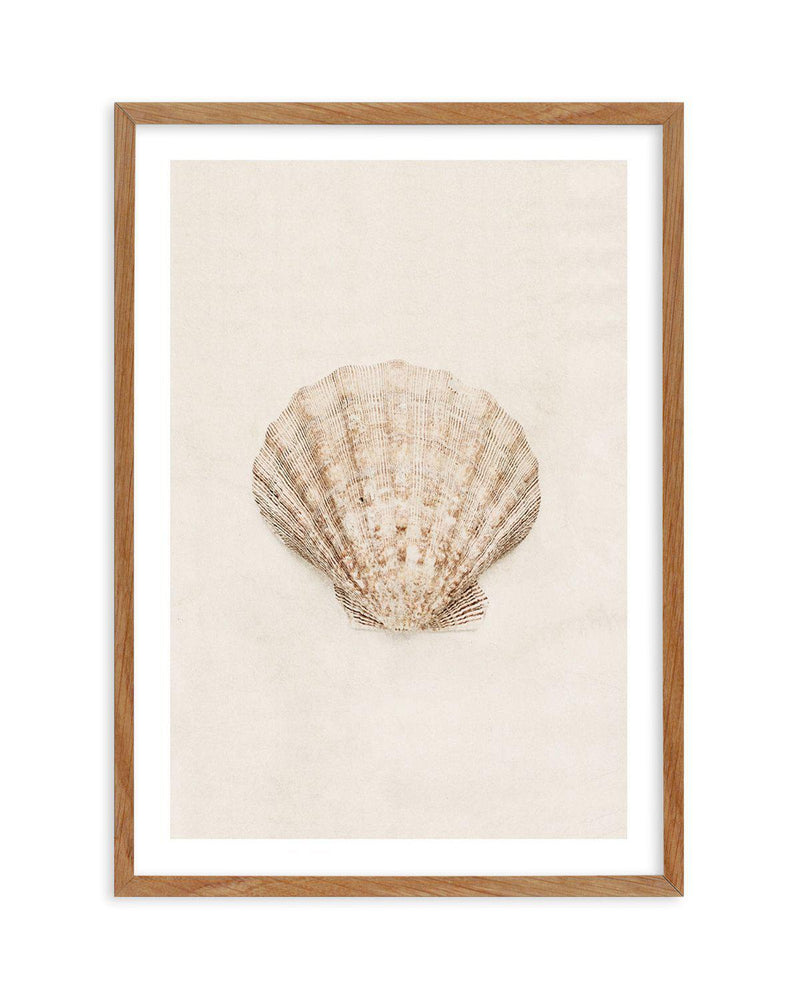 Little Seashell I Art Print-PRINT-Olive et Oriel-Olive et Oriel-Buy-Australian-Art-Prints-Online-with-Olive-et-Oriel-Your-Artwork-Specialists-Austrailia-Decorate-With-Coastal-Photo-Wall-Art-Prints-From-Our-Beach-House-Artwork-Collection-Fine-Poster-and-Framed-Artwork