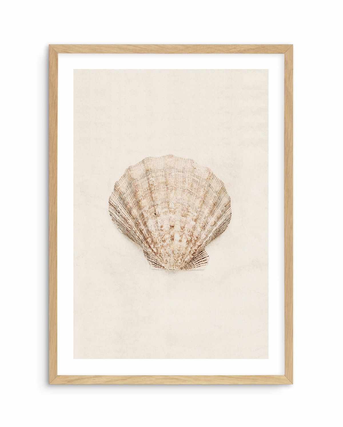 Little Seashell I Art Print-PRINT-Olive et Oriel-Olive et Oriel-A5 | 5.8" x 8.3" | 14.8 x 21cm-Oak-With White Border-Buy-Australian-Art-Prints-Online-with-Olive-et-Oriel-Your-Artwork-Specialists-Austrailia-Decorate-With-Coastal-Photo-Wall-Art-Prints-From-Our-Beach-House-Artwork-Collection-Fine-Poster-and-Framed-Artwork