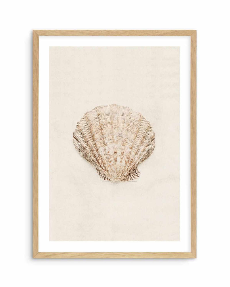 Little Seashell I Art Print-PRINT-Olive et Oriel-Olive et Oriel-A5 | 5.8" x 8.3" | 14.8 x 21cm-Oak-With White Border-Buy-Australian-Art-Prints-Online-with-Olive-et-Oriel-Your-Artwork-Specialists-Austrailia-Decorate-With-Coastal-Photo-Wall-Art-Prints-From-Our-Beach-House-Artwork-Collection-Fine-Poster-and-Framed-Artwork