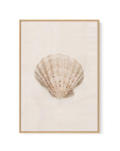 Little Seashell I | Framed Canvas-CANVAS-You can shop wall art online with Olive et Oriel for everything from abstract art to fun kids wall art. Our beautiful modern art prints and canvas art are available from large canvas prints to wall art paintings and our proudly Australian artwork collection offers only the highest quality framed large wall art and canvas art Australia - You can buy fashion photography prints or Hampton print posters and paintings on canvas from Olive et Oriel and have the