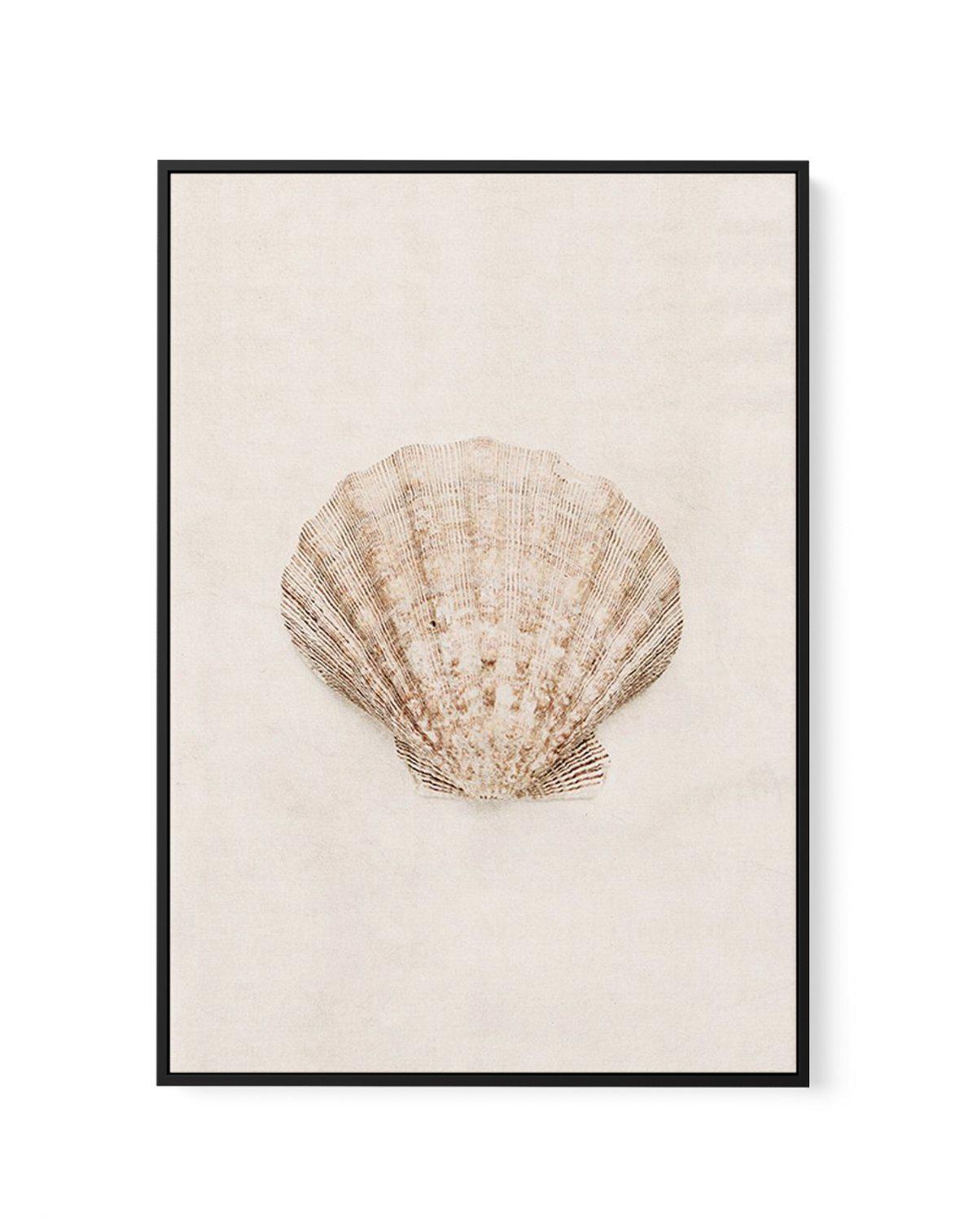 Little Seashell I | Framed Canvas-CANVAS-You can shop wall art online with Olive et Oriel for everything from abstract art to fun kids wall art. Our beautiful modern art prints and canvas art are available from large canvas prints to wall art paintings and our proudly Australian artwork collection offers only the highest quality framed large wall art and canvas art Australia - You can buy fashion photography prints or Hampton print posters and paintings on canvas from Olive et Oriel and have the