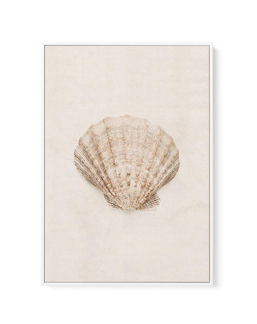 Little Seashell I | Framed Canvas-CANVAS-You can shop wall art online with Olive et Oriel for everything from abstract art to fun kids wall art. Our beautiful modern art prints and canvas art are available from large canvas prints to wall art paintings and our proudly Australian artwork collection offers only the highest quality framed large wall art and canvas art Australia - You can buy fashion photography prints or Hampton print posters and paintings on canvas from Olive et Oriel and have the