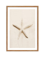 Little Starfish Art Print-PRINT-Olive et Oriel-Olive et Oriel-Buy-Australian-Art-Prints-Online-with-Olive-et-Oriel-Your-Artwork-Specialists-Austrailia-Decorate-With-Coastal-Photo-Wall-Art-Prints-From-Our-Beach-House-Artwork-Collection-Fine-Poster-and-Framed-Artwork