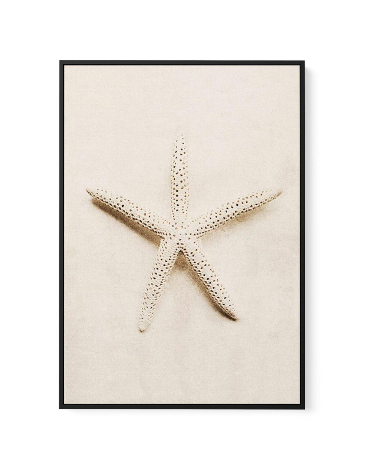 Little starfish | Framed Canvas-CANVAS-You can shop wall art online with Olive et Oriel for everything from abstract art to fun kids wall art. Our beautiful modern art prints and canvas art are available from large canvas prints to wall art paintings and our proudly Australian artwork collection offers only the highest quality framed large wall art and canvas art Australia - You can buy fashion photography prints or Hampton print posters and paintings on canvas from Olive et Oriel and have them 