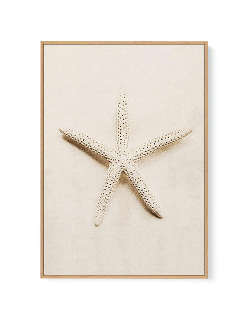 Little starfish | Framed Canvas-CANVAS-You can shop wall art online with Olive et Oriel for everything from abstract art to fun kids wall art. Our beautiful modern art prints and canvas art are available from large canvas prints to wall art paintings and our proudly Australian artwork collection offers only the highest quality framed large wall art and canvas art Australia - You can buy fashion photography prints or Hampton print posters and paintings on canvas from Olive et Oriel and have them 