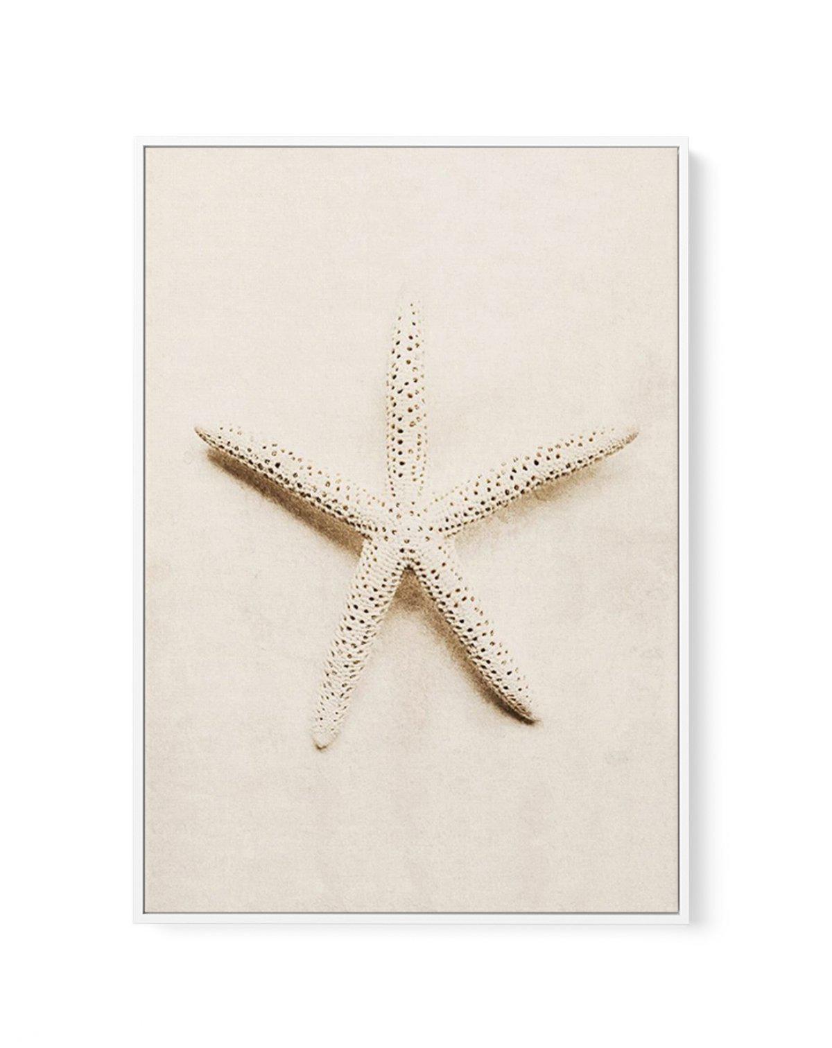 Little starfish | Framed Canvas-CANVAS-You can shop wall art online with Olive et Oriel for everything from abstract art to fun kids wall art. Our beautiful modern art prints and canvas art are available from large canvas prints to wall art paintings and our proudly Australian artwork collection offers only the highest quality framed large wall art and canvas art Australia - You can buy fashion photography prints or Hampton print posters and paintings on canvas from Olive et Oriel and have them 