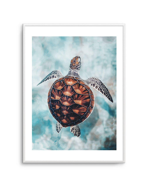 Little Turtle Art Print-PRINT-Olive et Oriel-Olive et Oriel-A5 | 5.8" x 8.3" | 14.8 x 21cm-Unframed Art Print-With White Border-Buy-Australian-Art-Prints-Online-with-Olive-et-Oriel-Your-Artwork-Specialists-Austrailia-Decorate-With-Coastal-Photo-Wall-Art-Prints-From-Our-Beach-House-Artwork-Collection-Fine-Poster-and-Framed-Artwork