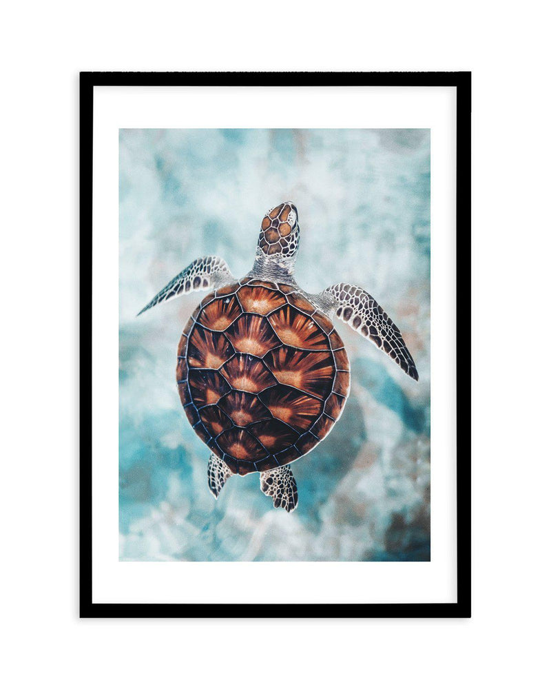 Little Turtle Art Print-PRINT-Olive et Oriel-Olive et Oriel-A5 | 5.8" x 8.3" | 14.8 x 21cm-Black-With White Border-Buy-Australian-Art-Prints-Online-with-Olive-et-Oriel-Your-Artwork-Specialists-Austrailia-Decorate-With-Coastal-Photo-Wall-Art-Prints-From-Our-Beach-House-Artwork-Collection-Fine-Poster-and-Framed-Artwork
