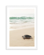 Little Turtle II Art Print-PRINT-Olive et Oriel-Olive et Oriel-A5 | 5.8" x 8.3" | 14.8 x 21cm-White-With White Border-Buy-Australian-Art-Prints-Online-with-Olive-et-Oriel-Your-Artwork-Specialists-Austrailia-Decorate-With-Coastal-Photo-Wall-Art-Prints-From-Our-Beach-House-Artwork-Collection-Fine-Poster-and-Framed-Artwork