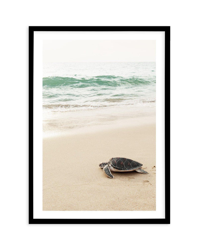 Little Turtle II Art Print-PRINT-Olive et Oriel-Olive et Oriel-A5 | 5.8" x 8.3" | 14.8 x 21cm-Black-With White Border-Buy-Australian-Art-Prints-Online-with-Olive-et-Oriel-Your-Artwork-Specialists-Austrailia-Decorate-With-Coastal-Photo-Wall-Art-Prints-From-Our-Beach-House-Artwork-Collection-Fine-Poster-and-Framed-Artwork