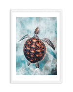 Little Turtle Art Print-PRINT-Olive et Oriel-Olive et Oriel-A5 | 5.8" x 8.3" | 14.8 x 21cm-White-With White Border-Buy-Australian-Art-Prints-Online-with-Olive-et-Oriel-Your-Artwork-Specialists-Austrailia-Decorate-With-Coastal-Photo-Wall-Art-Prints-From-Our-Beach-House-Artwork-Collection-Fine-Poster-and-Framed-Artwork