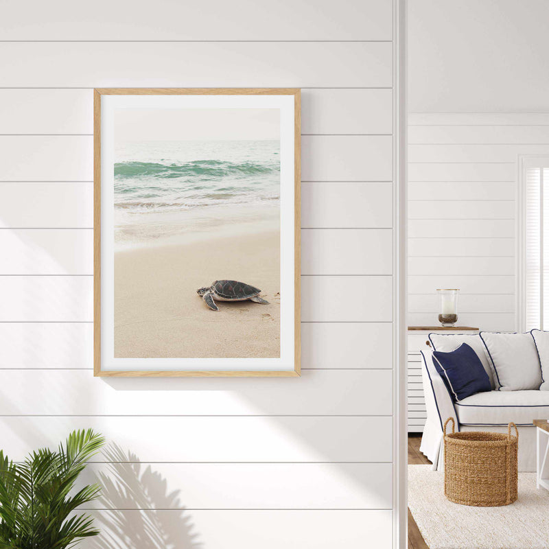 Little Turtle II Art Print-PRINT-Olive et Oriel-Olive et Oriel-Buy-Australian-Art-Prints-Online-with-Olive-et-Oriel-Your-Artwork-Specialists-Austrailia-Decorate-With-Coastal-Photo-Wall-Art-Prints-From-Our-Beach-House-Artwork-Collection-Fine-Poster-and-Framed-Artwork