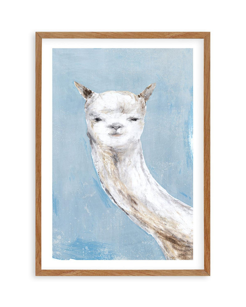 Llama on Blue I Art Print-PRINT-Olive et Oriel-PI Creative Contract 2-50x70 cm | 19.6" x 27.5"-Walnut-With White Border-Buy-Australian-Art-Prints-Online-with-Olive-et-Oriel-Your-Artwork-Specialists-Austrailia-Decorate-With-Coastal-Photo-Wall-Art-Prints-From-Our-Beach-House-Artwork-Collection-Fine-Poster-and-Framed-Artwork
