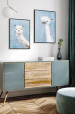 Llama on Blue I | Framed Canvas-CANVAS-You can shop wall art online with Olive et Oriel for everything from abstract art to fun kids wall art. Our beautiful modern art prints and canvas art are available from large canvas prints to wall art paintings and our proudly Australian artwork collection offers only the highest quality framed large wall art and canvas art Australia - You can buy fashion photography prints or Hampton print posters and paintings on canvas from Olive et Oriel and have them 