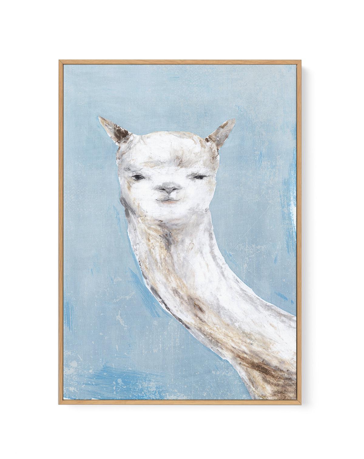 Llama on Blue I | Framed Canvas-CANVAS-You can shop wall art online with Olive et Oriel for everything from abstract art to fun kids wall art. Our beautiful modern art prints and canvas art are available from large canvas prints to wall art paintings and our proudly Australian artwork collection offers only the highest quality framed large wall art and canvas art Australia - You can buy fashion photography prints or Hampton print posters and paintings on canvas from Olive et Oriel and have them 