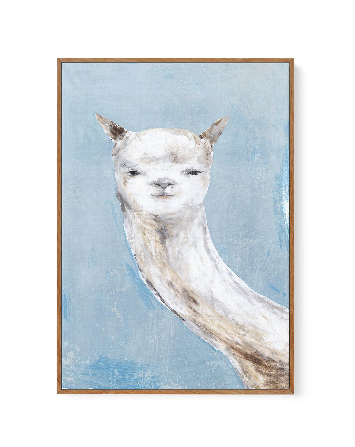 Llama on Blue I | Framed Canvas-CANVAS-You can shop wall art online with Olive et Oriel for everything from abstract art to fun kids wall art. Our beautiful modern art prints and canvas art are available from large canvas prints to wall art paintings and our proudly Australian artwork collection offers only the highest quality framed large wall art and canvas art Australia - You can buy fashion photography prints or Hampton print posters and paintings on canvas from Olive et Oriel and have them 