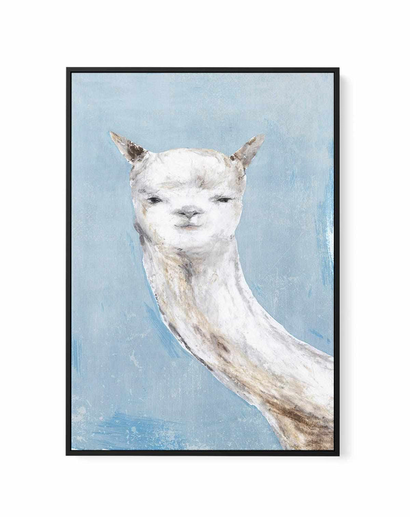 Llama on Blue I | Framed Canvas Art Print