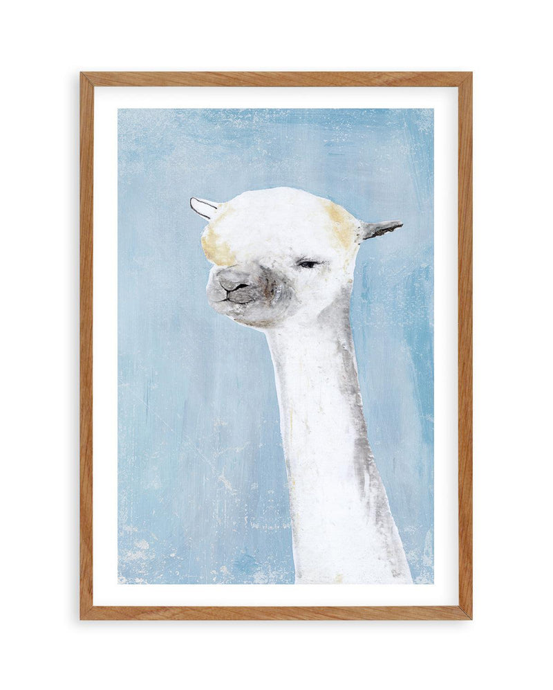 Llama on Blue II Art Print-PRINT-Olive et Oriel-PI Creative Contract 2-50x70 cm | 19.6" x 27.5"-Walnut-With White Border-Buy-Australian-Art-Prints-Online-with-Olive-et-Oriel-Your-Artwork-Specialists-Austrailia-Decorate-With-Coastal-Photo-Wall-Art-Prints-From-Our-Beach-House-Artwork-Collection-Fine-Poster-and-Framed-Artwork