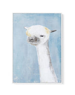 Llama on Blue II | Framed Canvas-CANVAS-You can shop wall art online with Olive et Oriel for everything from abstract art to fun kids wall art. Our beautiful modern art prints and canvas art are available from large canvas prints to wall art paintings and our proudly Australian artwork collection offers only the highest quality framed large wall art and canvas art Australia - You can buy fashion photography prints or Hampton print posters and paintings on canvas from Olive et Oriel and have them