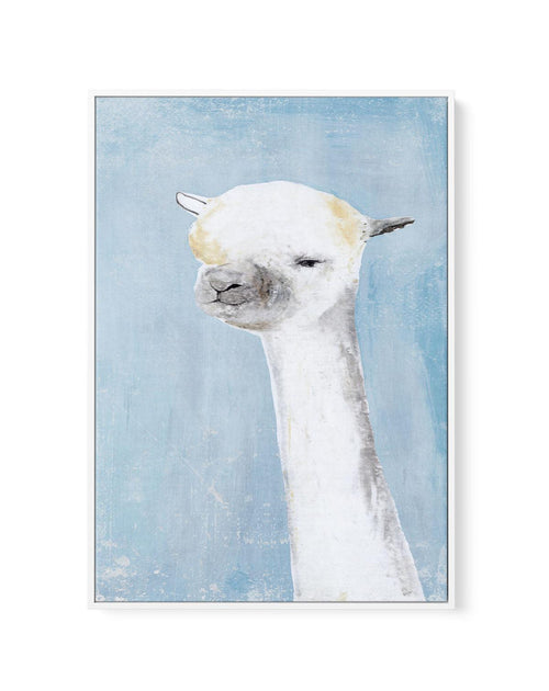 Llama on Blue II | Framed Canvas-CANVAS-You can shop wall art online with Olive et Oriel for everything from abstract art to fun kids wall art. Our beautiful modern art prints and canvas art are available from large canvas prints to wall art paintings and our proudly Australian artwork collection offers only the highest quality framed large wall art and canvas art Australia - You can buy fashion photography prints or Hampton print posters and paintings on canvas from Olive et Oriel and have them