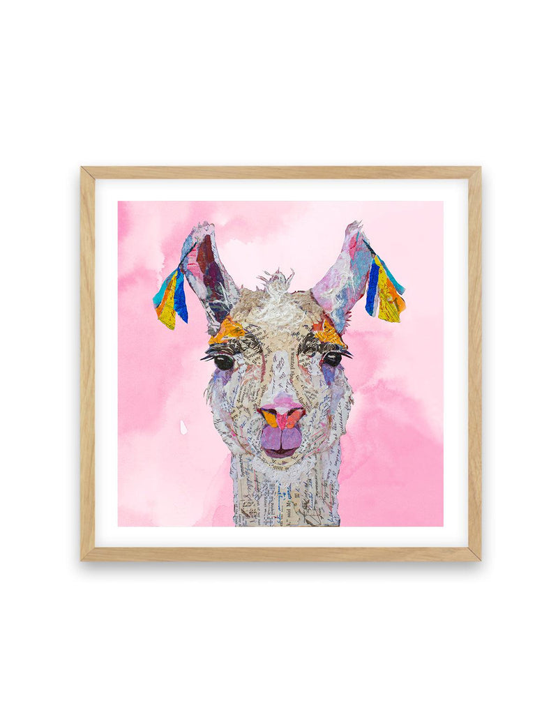 Llama Read About It Art Print-PRINT-Olive et Oriel-PI Creative Contract 2-70x70 cm | 27.5" x 27.5"-Oak-With White Border-Buy-Australian-Art-Prints-Online-with-Olive-et-Oriel-Your-Artwork-Specialists-Austrailia-Decorate-With-Coastal-Photo-Wall-Art-Prints-From-Our-Beach-House-Artwork-Collection-Fine-Poster-and-Framed-Artwork