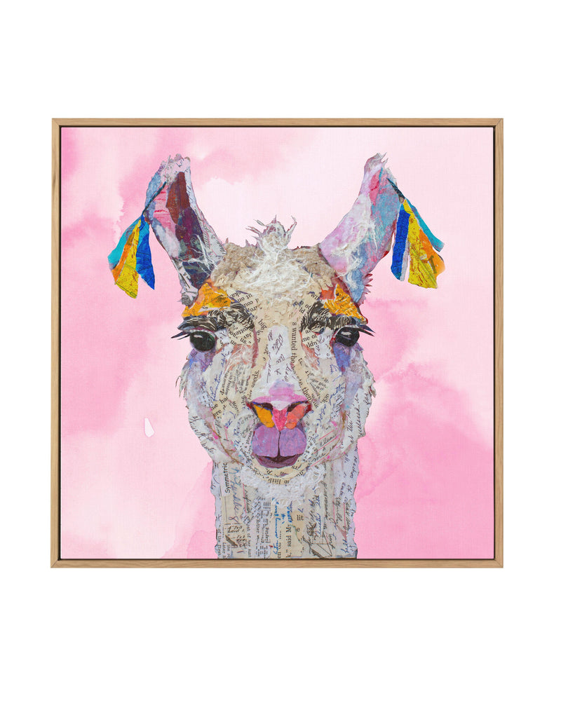 Llama Read About It | Framed Canvas-CANVAS-You can shop wall art online with Olive et Oriel for everything from abstract art to fun kids wall art. Our beautiful modern art prints and canvas art are available from large canvas prints to wall art paintings and our proudly Australian artwork collection offers only the highest quality framed large wall art and canvas art Australia - You can buy fashion photography prints or Hampton print posters and paintings on canvas from Olive et Oriel and have t