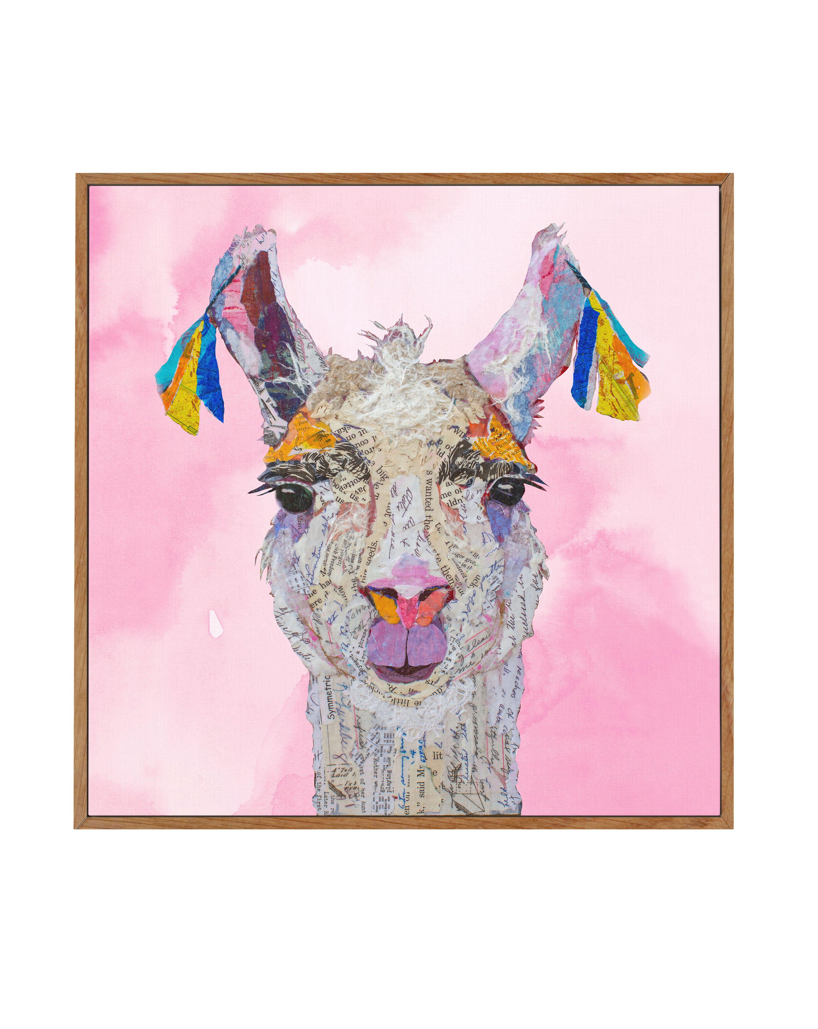 Llama Read About It | Framed Canvas-CANVAS-You can shop wall art online with Olive et Oriel for everything from abstract art to fun kids wall art. Our beautiful modern art prints and canvas art are available from large canvas prints to wall art paintings and our proudly Australian artwork collection offers only the highest quality framed large wall art and canvas art Australia - You can buy fashion photography prints or Hampton print posters and paintings on canvas from Olive et Oriel and have t