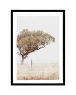 Lost In The Fields Art Print-PRINT-Olive et Oriel-Olive et Oriel-A3 | 11.7" x 16.5" | 29.7 x 42 cm-Black-With White Border-Buy-Australian-Art-Prints-Online-with-Olive-et-Oriel-Your-Artwork-Specialists-Austrailia-Decorate-With-Coastal-Photo-Wall-Art-Prints-From-Our-Beach-House-Artwork-Collection-Fine-Poster-and-Framed-Artwork