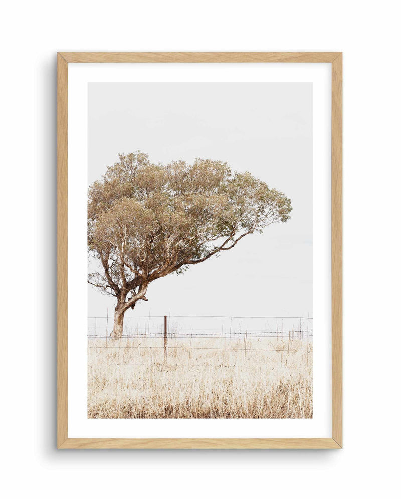 Lost In The Fields Art Print-PRINT-Olive et Oriel-Olive et Oriel-A3 | 11.7" x 16.5" | 29.7 x 42 cm-Oak-With White Border-Buy-Australian-Art-Prints-Online-with-Olive-et-Oriel-Your-Artwork-Specialists-Austrailia-Decorate-With-Coastal-Photo-Wall-Art-Prints-From-Our-Beach-House-Artwork-Collection-Fine-Poster-and-Framed-Artwork