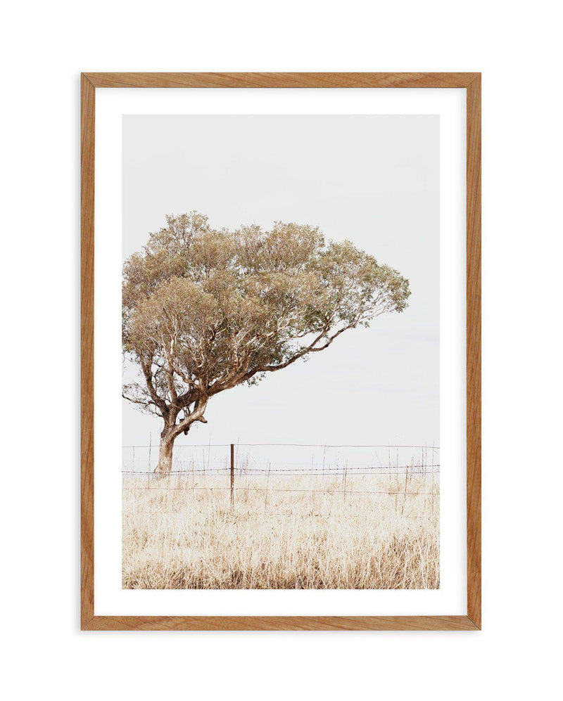Lost In The Fields Art Print-PRINT-Olive et Oriel-Olive et Oriel-50x70 cm | 19.6" x 27.5"-Walnut-With White Border-Buy-Australian-Art-Prints-Online-with-Olive-et-Oriel-Your-Artwork-Specialists-Austrailia-Decorate-With-Coastal-Photo-Wall-Art-Prints-From-Our-Beach-House-Artwork-Collection-Fine-Poster-and-Framed-Artwork