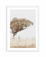 Lost In The Fields Art Print-PRINT-Olive et Oriel-Olive et Oriel-A3 | 11.7" x 16.5" | 29.7 x 42 cm-White-With White Border-Buy-Australian-Art-Prints-Online-with-Olive-et-Oriel-Your-Artwork-Specialists-Austrailia-Decorate-With-Coastal-Photo-Wall-Art-Prints-From-Our-Beach-House-Artwork-Collection-Fine-Poster-and-Framed-Artwork