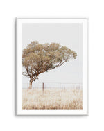 Lost In The Fields Art Print-PRINT-Olive et Oriel-Olive et Oriel-A3 | 11.7" x 16.5" | 29.7 x 42 cm-Unframed Art Print-With White Border-Buy-Australian-Art-Prints-Online-with-Olive-et-Oriel-Your-Artwork-Specialists-Austrailia-Decorate-With-Coastal-Photo-Wall-Art-Prints-From-Our-Beach-House-Artwork-Collection-Fine-Poster-and-Framed-Artwork