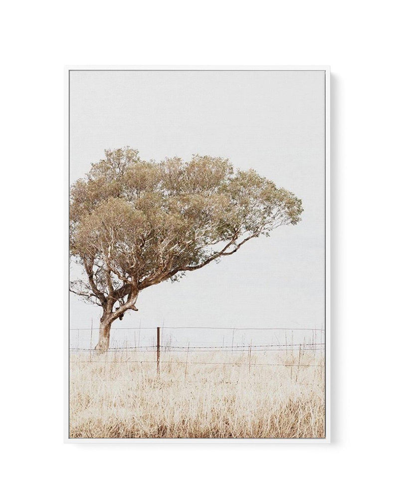 Lost In The Fields | Framed Canvas-CANVAS-You can shop wall art online with Olive et Oriel for everything from abstract art to fun kids wall art. Our beautiful modern art prints and canvas art are available from large canvas prints to wall art paintings and our proudly Australian artwork collection offers only the highest quality framed large wall art and canvas art Australia - You can buy fashion photography prints or Hampton print posters and paintings on canvas from Olive et Oriel and have th
