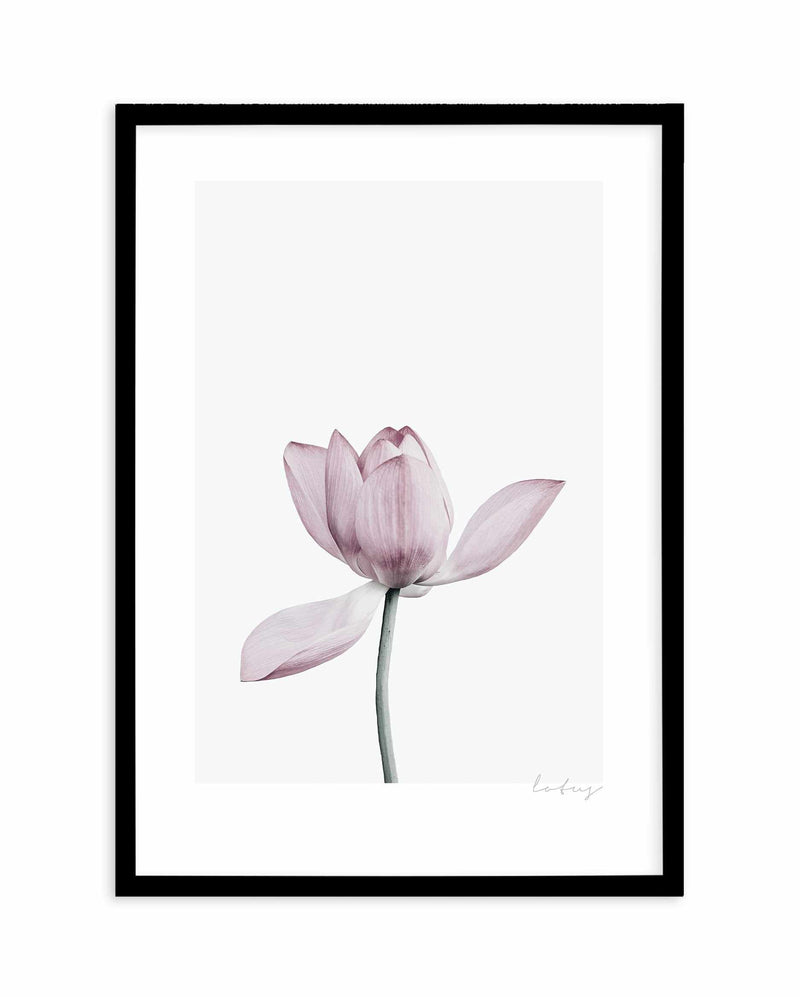 Lotus I Art Print-PRINT-Olive et Oriel-Olive et Oriel-A5 | 5.8" x 8.3" | 14.8 x 21cm-Black-With White Border-Buy-Australian-Art-Prints-Online-with-Olive-et-Oriel-Your-Artwork-Specialists-Austrailia-Decorate-With-Coastal-Photo-Wall-Art-Prints-From-Our-Beach-House-Artwork-Collection-Fine-Poster-and-Framed-Artwork