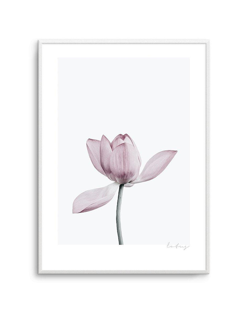 Lotus I Art Print-PRINT-Olive et Oriel-Olive et Oriel-A5 | 5.8" x 8.3" | 14.8 x 21cm-Unframed Art Print-With White Border-Buy-Australian-Art-Prints-Online-with-Olive-et-Oriel-Your-Artwork-Specialists-Austrailia-Decorate-With-Coastal-Photo-Wall-Art-Prints-From-Our-Beach-House-Artwork-Collection-Fine-Poster-and-Framed-Artwork