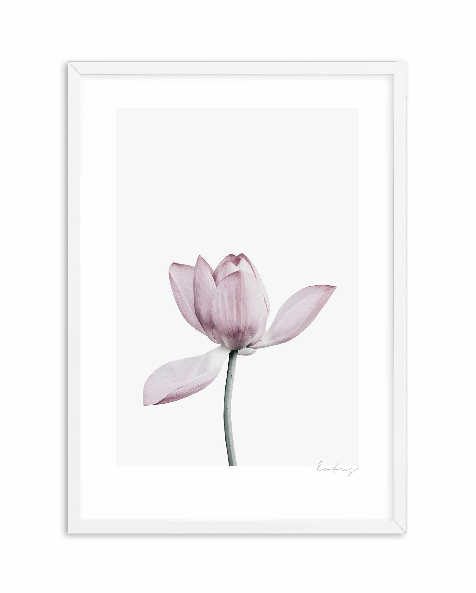 Lotus I Art Print-PRINT-Olive et Oriel-Olive et Oriel-A5 | 5.8" x 8.3" | 14.8 x 21cm-White-With White Border-Buy-Australian-Art-Prints-Online-with-Olive-et-Oriel-Your-Artwork-Specialists-Austrailia-Decorate-With-Coastal-Photo-Wall-Art-Prints-From-Our-Beach-House-Artwork-Collection-Fine-Poster-and-Framed-Artwork