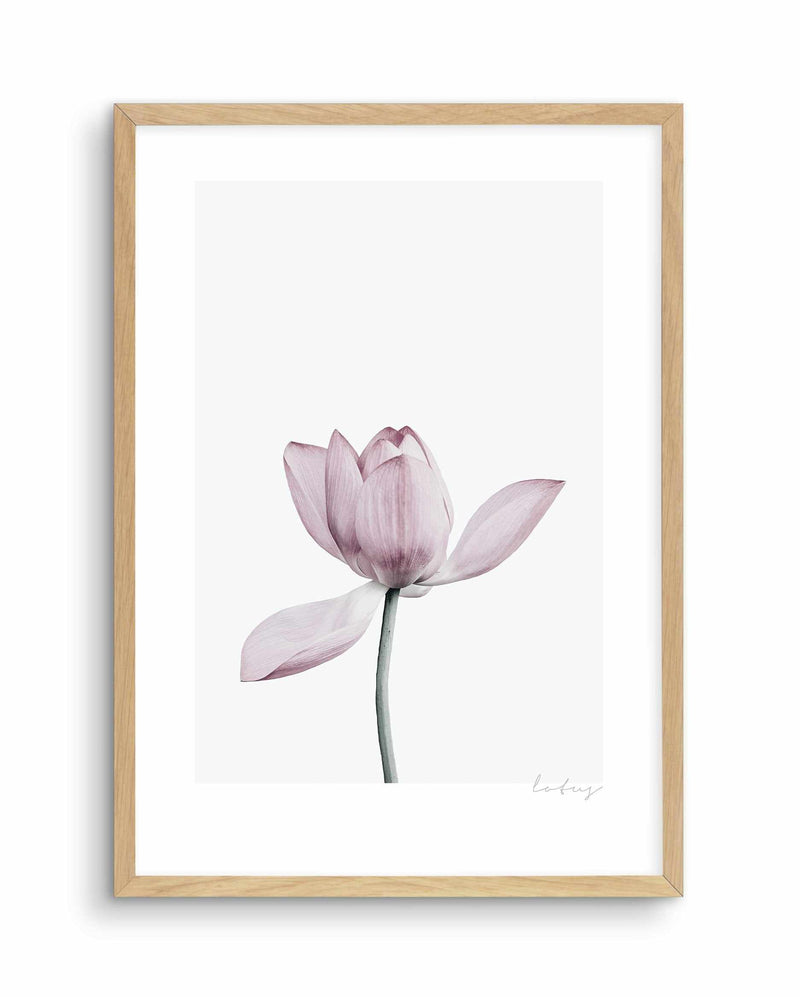 Lotus I Art Print-PRINT-Olive et Oriel-Olive et Oriel-A5 | 5.8" x 8.3" | 14.8 x 21cm-Oak-With White Border-Buy-Australian-Art-Prints-Online-with-Olive-et-Oriel-Your-Artwork-Specialists-Austrailia-Decorate-With-Coastal-Photo-Wall-Art-Prints-From-Our-Beach-House-Artwork-Collection-Fine-Poster-and-Framed-Artwork