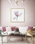 Lotus I | SQ Art Print-PRINT-Olive et Oriel-Olive et Oriel-Buy-Australian-Art-Prints-Online-with-Olive-et-Oriel-Your-Artwork-Specialists-Austrailia-Decorate-With-Coastal-Photo-Wall-Art-Prints-From-Our-Beach-House-Artwork-Collection-Fine-Poster-and-Framed-Artwork