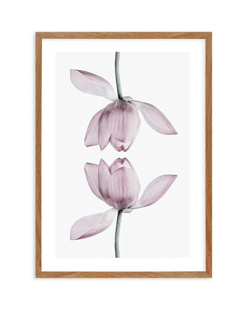 Lotus In Reflection Art Print-PRINT-Olive et Oriel-Olive et Oriel-50x70 cm | 19.6" x 27.5"-Walnut-With White Border-Buy-Australian-Art-Prints-Online-with-Olive-et-Oriel-Your-Artwork-Specialists-Austrailia-Decorate-With-Coastal-Photo-Wall-Art-Prints-From-Our-Beach-House-Artwork-Collection-Fine-Poster-and-Framed-Artwork