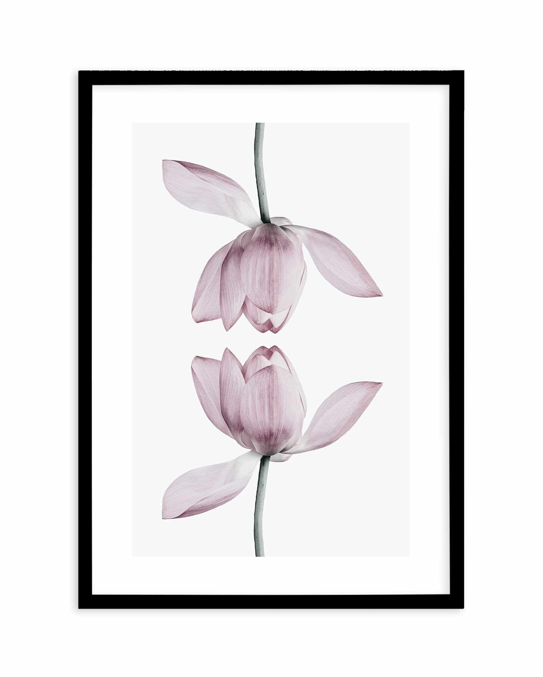 Lotus In Reflection Art Print-PRINT-Olive et Oriel-Olive et Oriel-A5 | 5.8" x 8.3" | 14.8 x 21cm-Black-With White Border-Buy-Australian-Art-Prints-Online-with-Olive-et-Oriel-Your-Artwork-Specialists-Austrailia-Decorate-With-Coastal-Photo-Wall-Art-Prints-From-Our-Beach-House-Artwork-Collection-Fine-Poster-and-Framed-Artwork