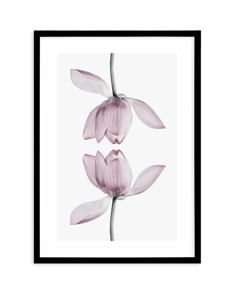 Lotus In Reflection Art Print-PRINT-Olive et Oriel-Olive et Oriel-A5 | 5.8" x 8.3" | 14.8 x 21cm-Black-With White Border-Buy-Australian-Art-Prints-Online-with-Olive-et-Oriel-Your-Artwork-Specialists-Austrailia-Decorate-With-Coastal-Photo-Wall-Art-Prints-From-Our-Beach-House-Artwork-Collection-Fine-Poster-and-Framed-Artwork