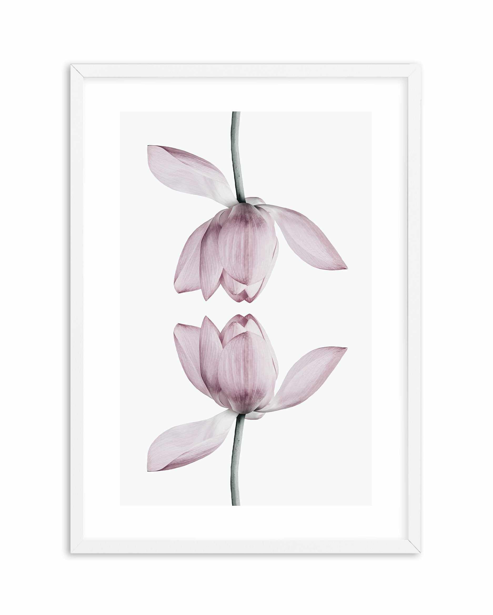 Lotus In Reflection Art Print-PRINT-Olive et Oriel-Olive et Oriel-A5 | 5.8" x 8.3" | 14.8 x 21cm-White-With White Border-Buy-Australian-Art-Prints-Online-with-Olive-et-Oriel-Your-Artwork-Specialists-Austrailia-Decorate-With-Coastal-Photo-Wall-Art-Prints-From-Our-Beach-House-Artwork-Collection-Fine-Poster-and-Framed-Artwork