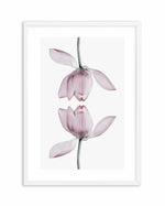 Lotus In Reflection Art Print-PRINT-Olive et Oriel-Olive et Oriel-A5 | 5.8" x 8.3" | 14.8 x 21cm-White-With White Border-Buy-Australian-Art-Prints-Online-with-Olive-et-Oriel-Your-Artwork-Specialists-Austrailia-Decorate-With-Coastal-Photo-Wall-Art-Prints-From-Our-Beach-House-Artwork-Collection-Fine-Poster-and-Framed-Artwork