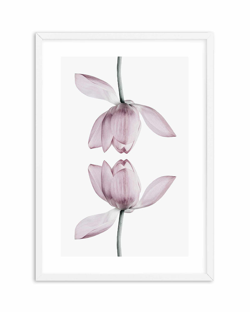 Lotus In Reflection Art Print-PRINT-Olive et Oriel-Olive et Oriel-A5 | 5.8" x 8.3" | 14.8 x 21cm-White-With White Border-Buy-Australian-Art-Prints-Online-with-Olive-et-Oriel-Your-Artwork-Specialists-Austrailia-Decorate-With-Coastal-Photo-Wall-Art-Prints-From-Our-Beach-House-Artwork-Collection-Fine-Poster-and-Framed-Artwork