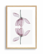 Lotus In Reflection Art Print-PRINT-Olive et Oriel-Olive et Oriel-A5 | 5.8" x 8.3" | 14.8 x 21cm-Oak-With White Border-Buy-Australian-Art-Prints-Online-with-Olive-et-Oriel-Your-Artwork-Specialists-Austrailia-Decorate-With-Coastal-Photo-Wall-Art-Prints-From-Our-Beach-House-Artwork-Collection-Fine-Poster-and-Framed-Artwork