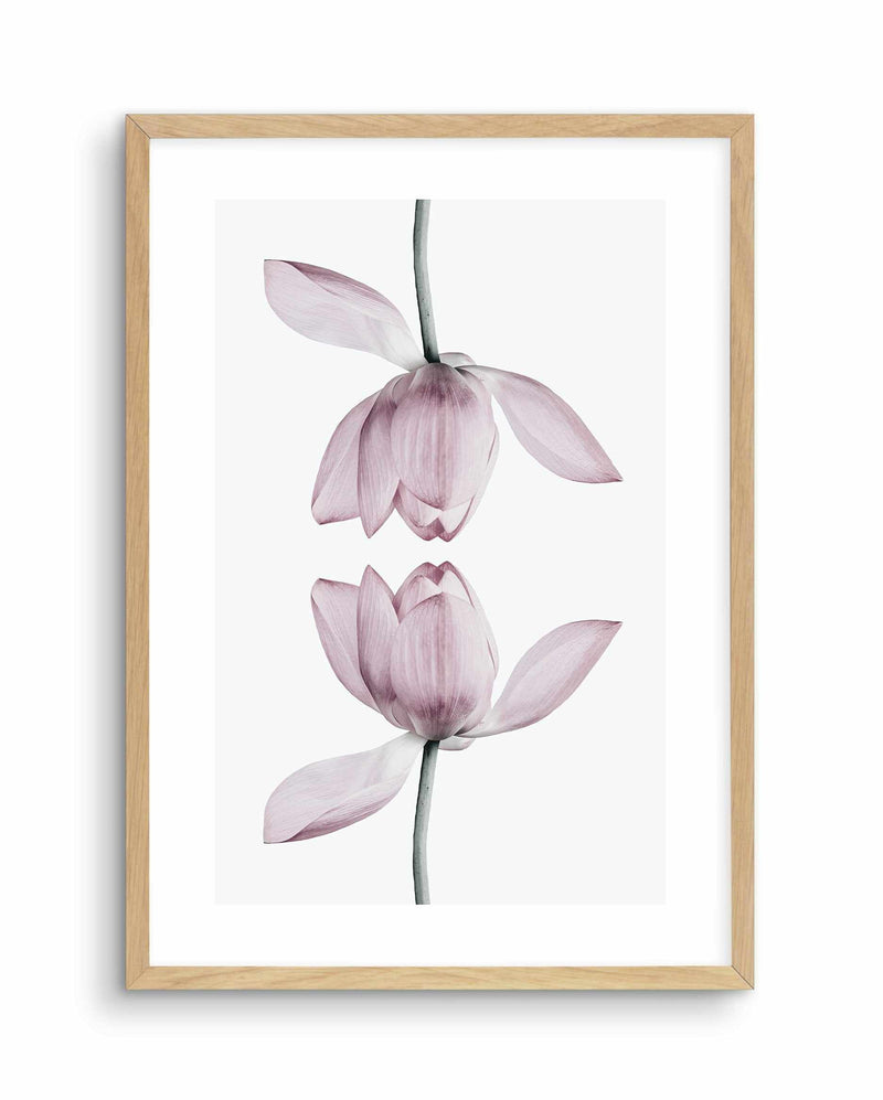 Lotus In Reflection Art Print-PRINT-Olive et Oriel-Olive et Oriel-A5 | 5.8" x 8.3" | 14.8 x 21cm-Oak-With White Border-Buy-Australian-Art-Prints-Online-with-Olive-et-Oriel-Your-Artwork-Specialists-Austrailia-Decorate-With-Coastal-Photo-Wall-Art-Prints-From-Our-Beach-House-Artwork-Collection-Fine-Poster-and-Framed-Artwork